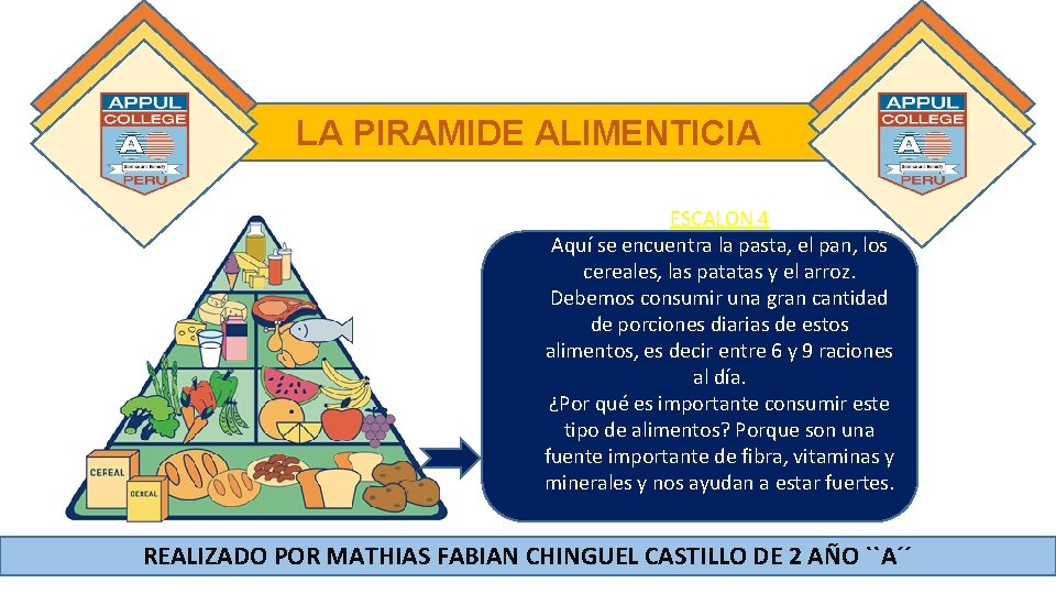 LA PIRAMIDE ALIMENTICIA ESCALON 4 Aquí se encuentra la pasta, el pan, los cereales,