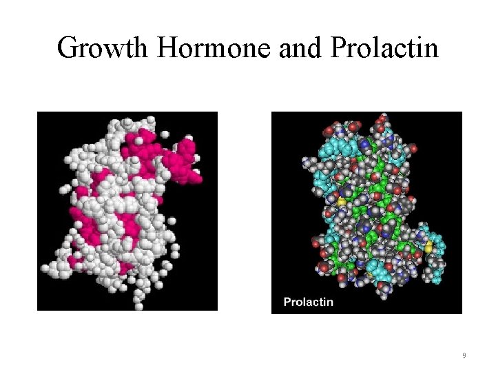 Growth Hormone and Prolactin 9 Growth Hormone and Prolactin 9