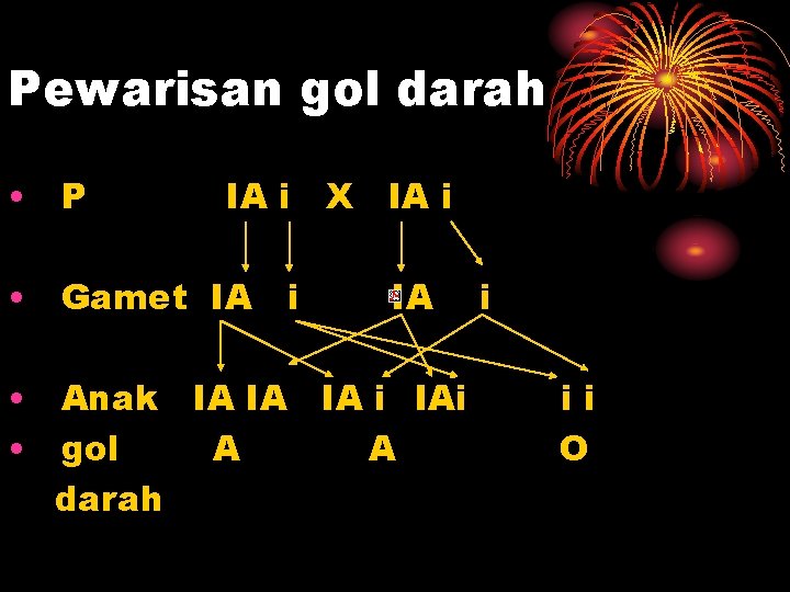 Pewarisan gol darah • P IA i X IA i • Gamet IA i