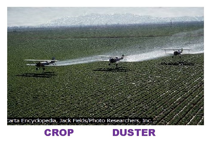 CROP DUSTER CROP DUSTER