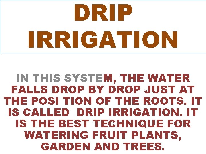 DRIP IRRIGATION IN THIS SYSTEM, THE WATER FALLS DROP BY DROP JUST AT THE