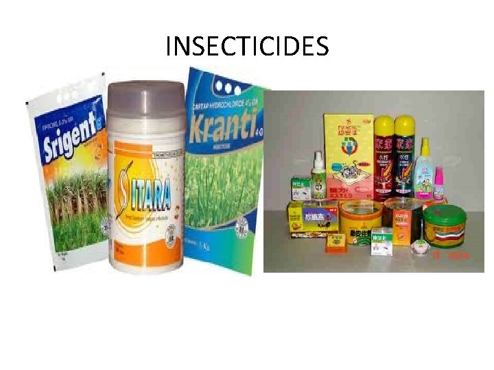 INSECTICIDES 