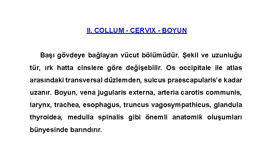 II. COLLUM - CERVIX - BOYUN Başı gövdeye bağlayan vücut bölümüdür. Şekil ve uzunluğu