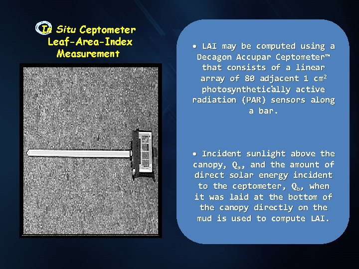 In Situ Ceptometer Leaf-Area-Index Measurement • LAI may be computed using a Decagon Accupar