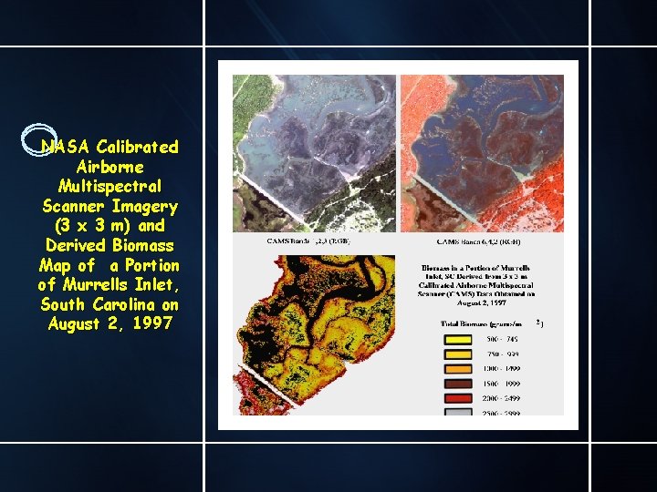 NASA Calibrated Airborne Multispectral Scanner Imagery (3 x 3 m) and Derived Biomass Map