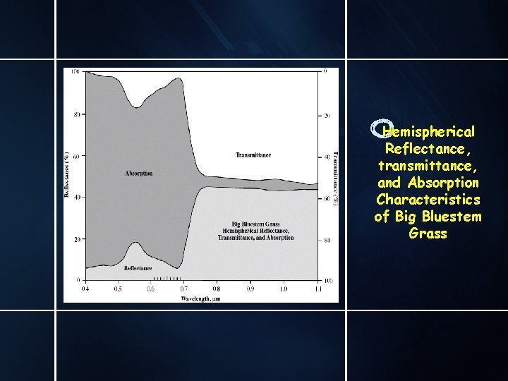 Hemispherical Reflectance, transmittance, and Absorption Characteristics of Big Bluestem Grass 
