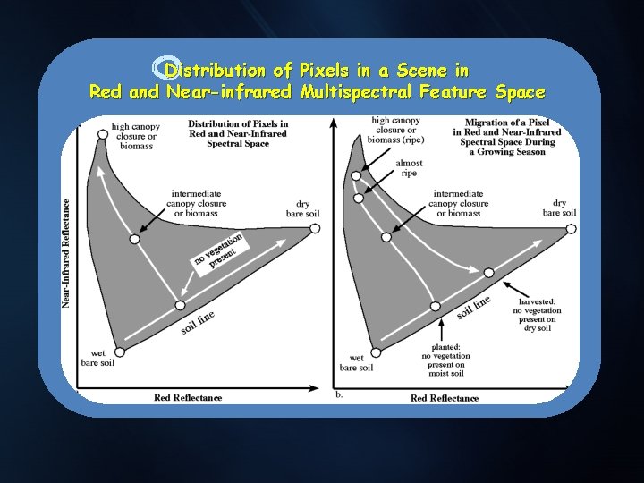Distribution of Pixels in a Scene in Red and Near-infrared Multispectral Feature Space. 