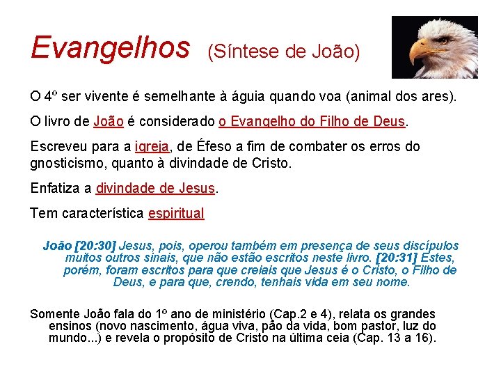 Evangelhos (Síntese de João) O 4º ser vivente é semelhante à águia quando voa Evangelhos (Síntese de João) O 4º ser vivente é semelhante à águia quando voa