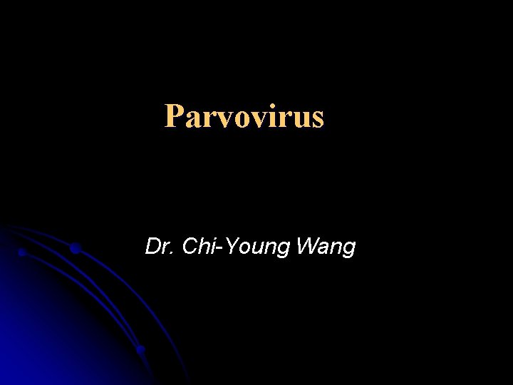 Parvovirus Dr. Chi-Young Wang 