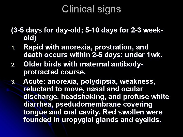 Clinical signs (3 -5 days for day-old; 5 -10 days for 2 -3 weekold)