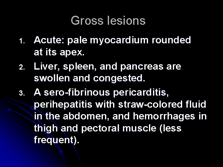 Gross lesions 1. 2. 3. Acute: pale myocardium rounded at its apex. Liver, spleen,