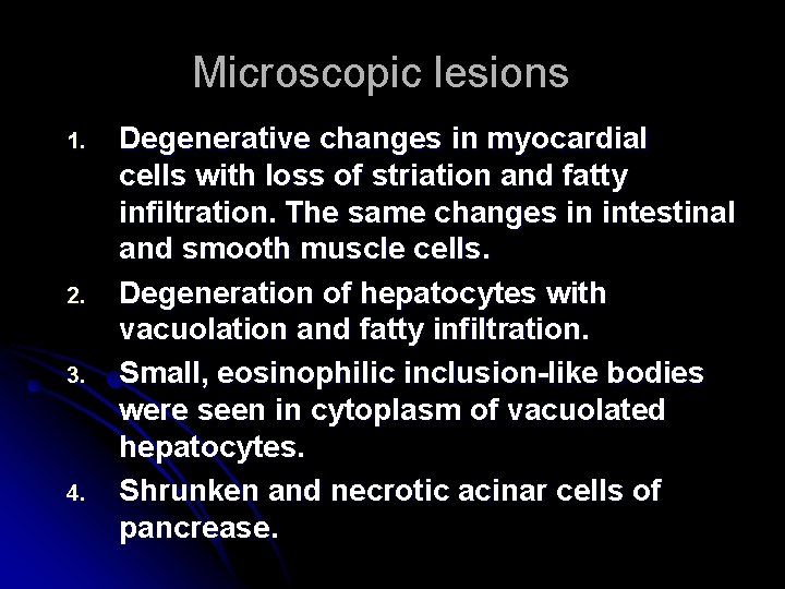 Microscopic lesions 1. 2. 3. 4. Degenerative changes in myocardial cells with loss of