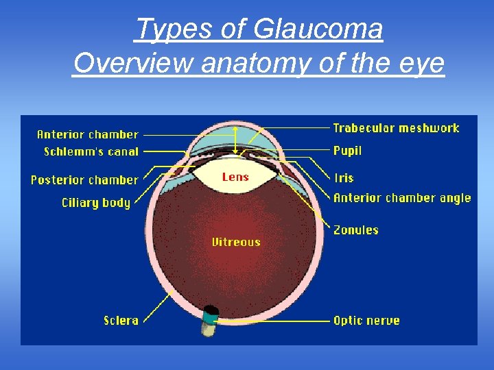 Types of Glaucoma Overview anatomy of the eye 