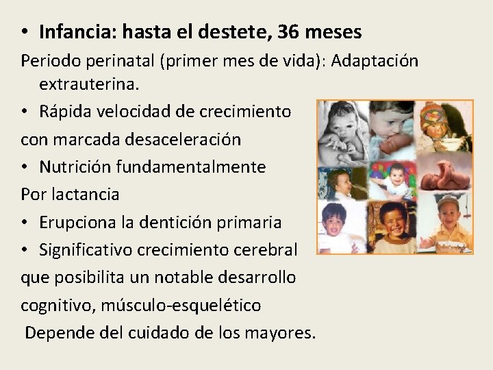  • Infancia: hasta el destete, 36 meses Periodo perinatal (primer mes de vida):
