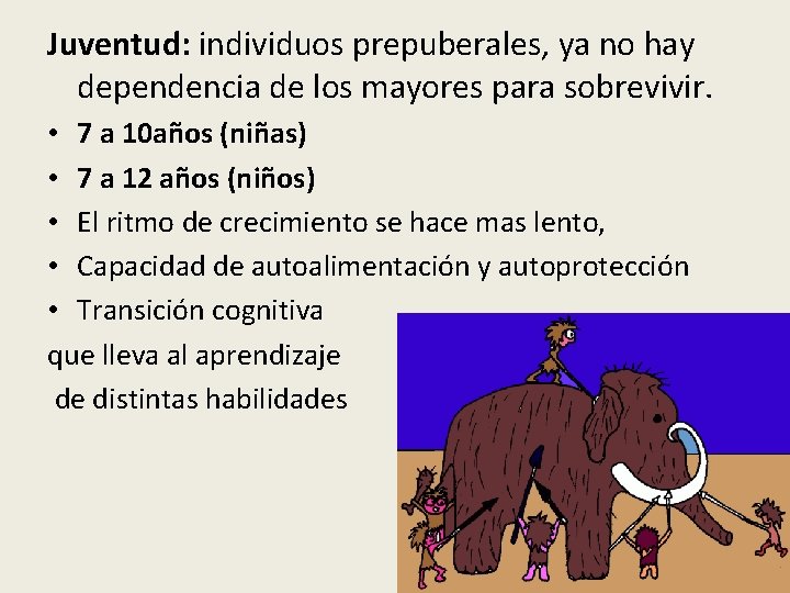 Juventud: individuos prepuberales, ya no hay dependencia de los mayores para sobrevivir. • 7