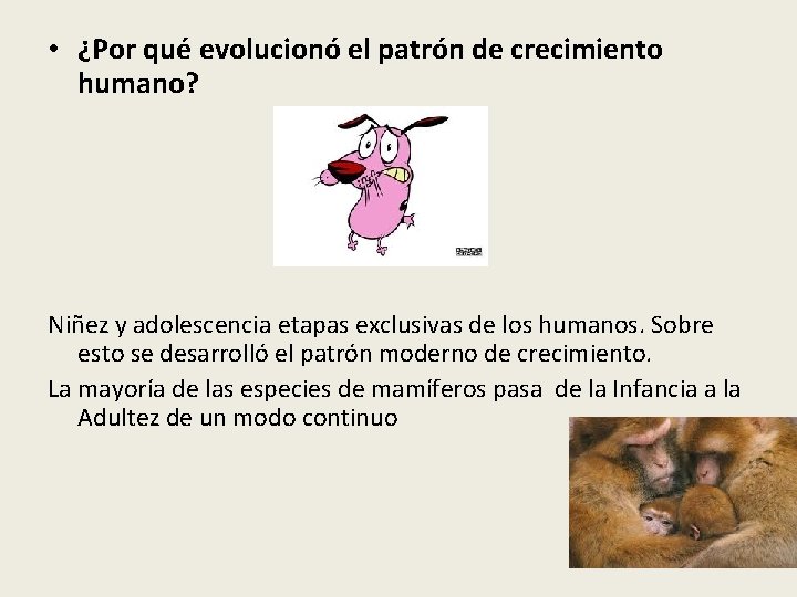  • ¿Por qué evolucionó el patrón de crecimiento humano? Niñez y adolescencia etapas