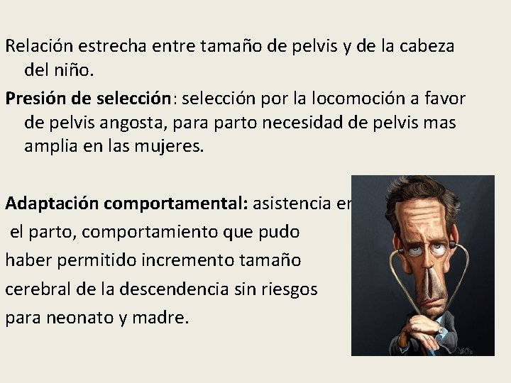 Relación estrecha entre tamaño de pelvis y de la cabeza del niño. Presión de