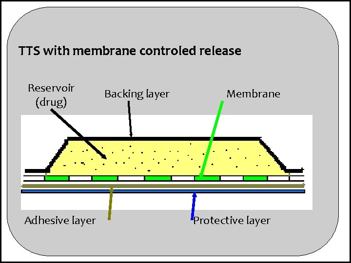 TTS with membrane controled release Reservoir (drug) Adhesive layer Backing layer Membrane Protective layer