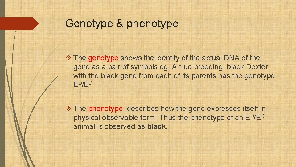 Genotype & phenotype The genotype shows the identity of the actual DNA of the