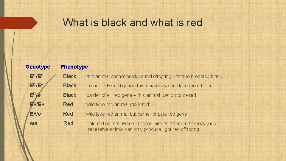 What is black and what is red Genotype Phenotype ED/ED Black this animal cannot