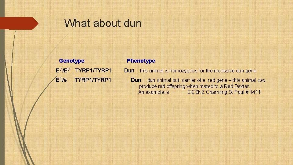 What about dun Genotype ED/ED TYRP 1/TYRP 1 ED/e TYRP 1/TYRP 1 Phenotype Dun