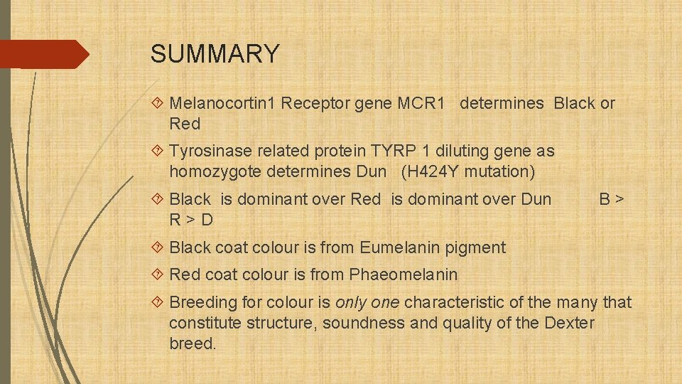 SUMMARY Melanocortin 1 Receptor gene MCR 1 determines Black or Red Tyrosinase related protein