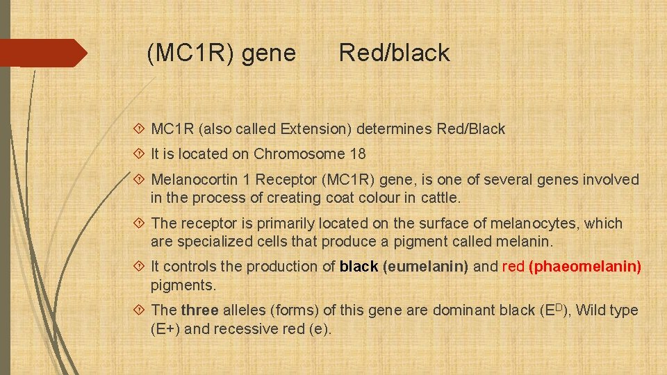 (MC 1 R) gene Red/black MC 1 R (also called Extension) determines Red/Black It