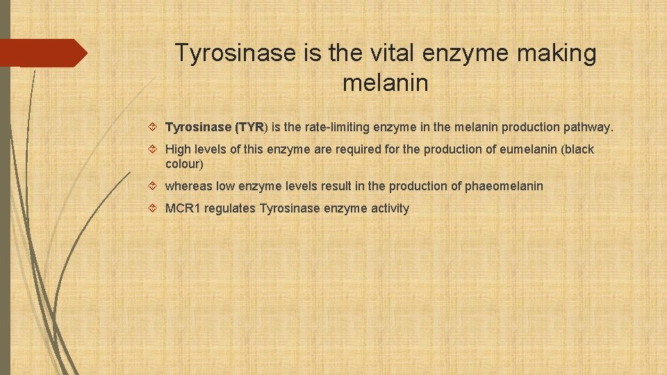 Tyrosinase is the vital enzyme making melanin Tyrosinase (TYR) is the rate-limiting enzyme in