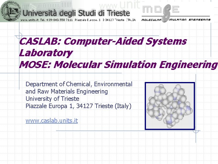 CASLAB: Computer-Aided Systems Laboratory MOSE: Molecular Simulation Engineering Department of Chemical, Environmental and Raw