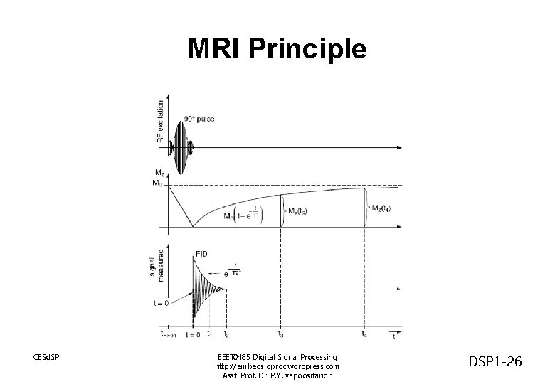 MRI Principle CESd. SP EEET 0485 Digital Signal Processing http: //embedsigproc. wordpress. com Asst.