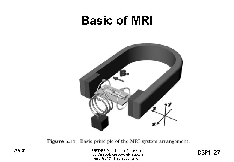 Basic of MRI CESd. SP EEET 0485 Digital Signal Processing http: //embedsigproc. wordpress. com