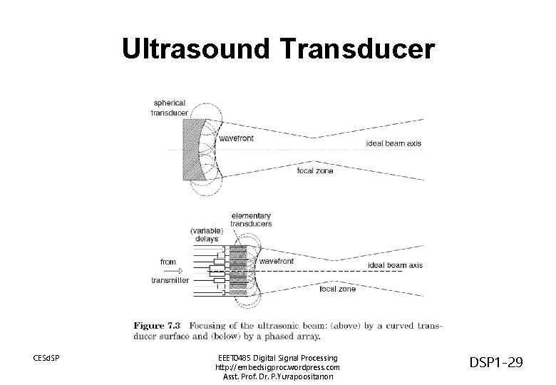 Ultrasound Transducer CESd. SP EEET 0485 Digital Signal Processing http: //embedsigproc. wordpress. com Asst.