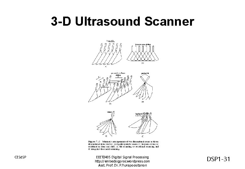 3 -D Ultrasound Scanner CESd. SP EEET 0485 Digital Signal Processing http: //embedsigproc. wordpress.