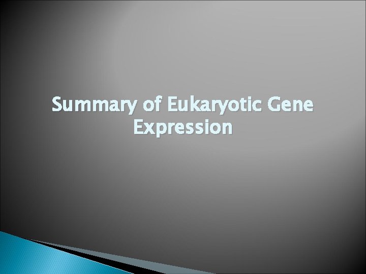 Summary of Eukaryotic Gene Expression 