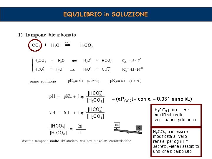 EQUILIBRIO in SOLUZIONE = (αPCO 2)= con α = 0, 031 mmoli/L) H 2