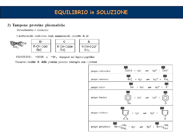 EQUILIBRIO in SOLUZIONE 