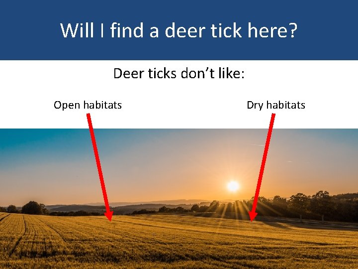 Will I find a deer tick here? Deer ticks don’t like: Dry habitats Open