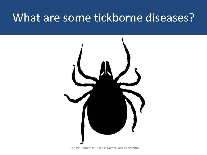 What are some tickborne diseases? Maine Center for Disease Control and Prevention 