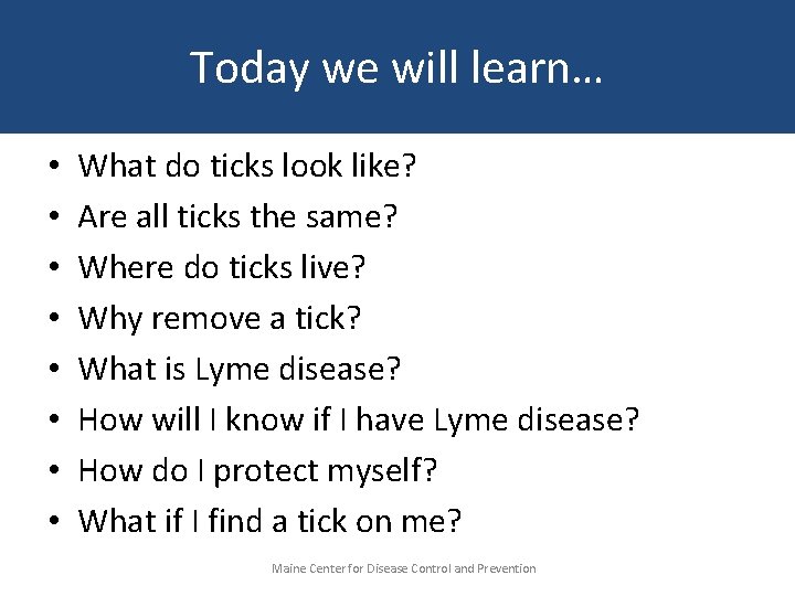 Today we will learn… • • What do ticks look like? Are all ticks