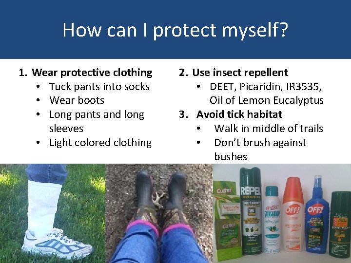 How can I protect myself? 1. Wear protective clothing • Tuck pants into socks