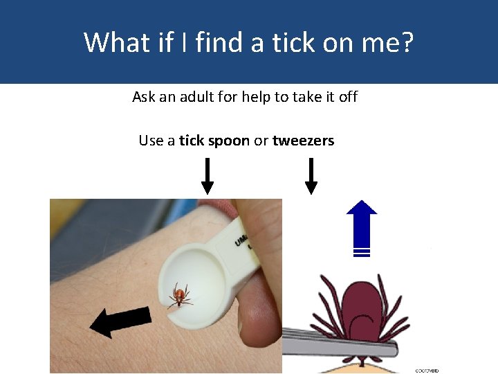 What if I find a tick on me? Ask an adult for help to