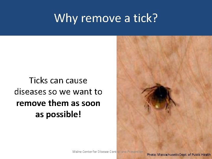 Why remove a tick? Ticks can cause diseases so we want to remove them