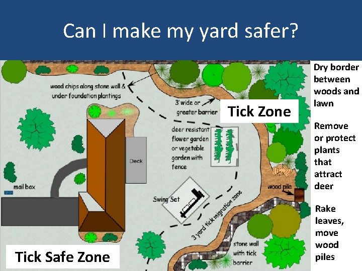 Can I make my yard safer? Tick Zone Tick Safe Zone Maine Center for