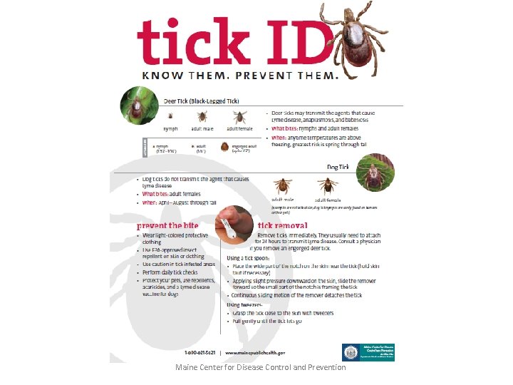 Maine Center for Disease Control and Prevention 