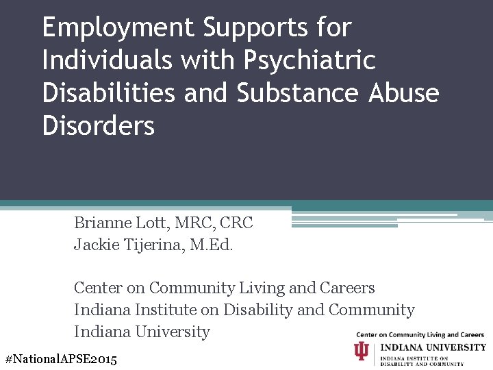 Employment Supports for Individuals with Psychiatric Disabilities and Substance Abuse Disorders Brianne Lott, MRC,