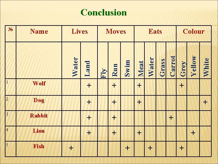 Conclusion 1 Wolf + + + 2 Dog + + + 3 Rabbit +