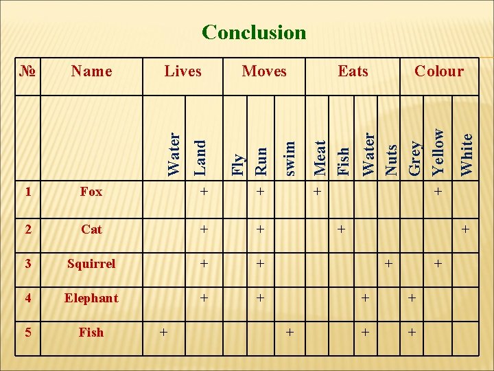 Conclusion 2 Cat + + 3 Squirrel + + 4 Elephant + + 5