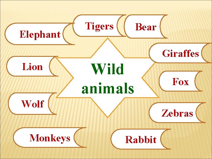 Elephant Tigers Bear Giraffes Lion Wild animals Wolf Monkeys Fox Zebras Rabbit 