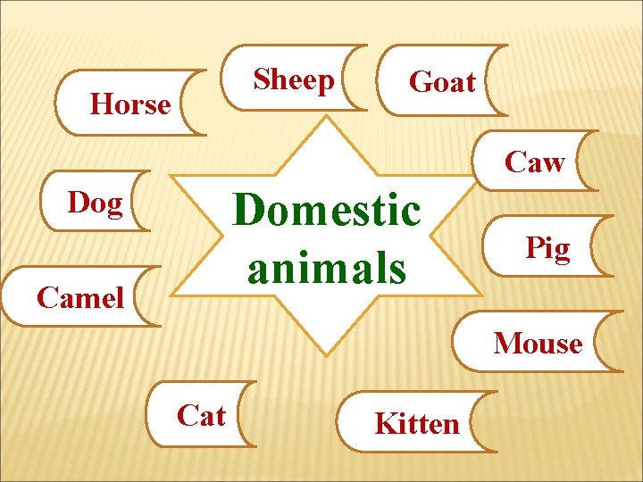 Sheep Horse Goat Caw Domestic animals Dog Camel Pig Mouse Cat Kitten 