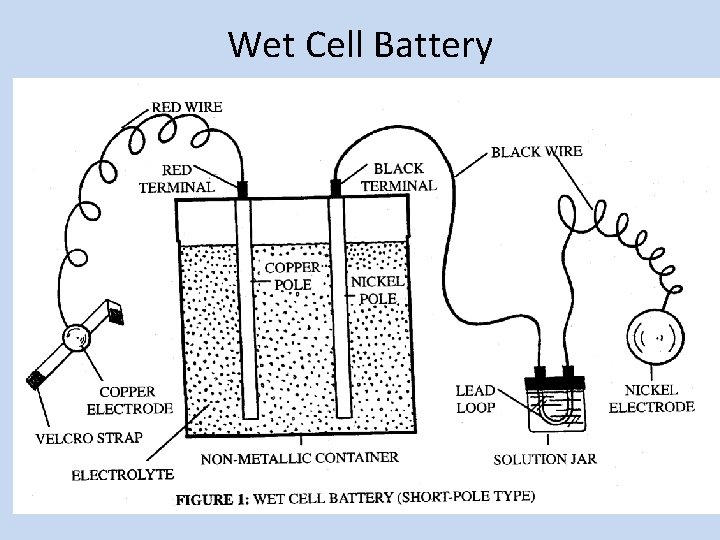 Wet Cell Battery 